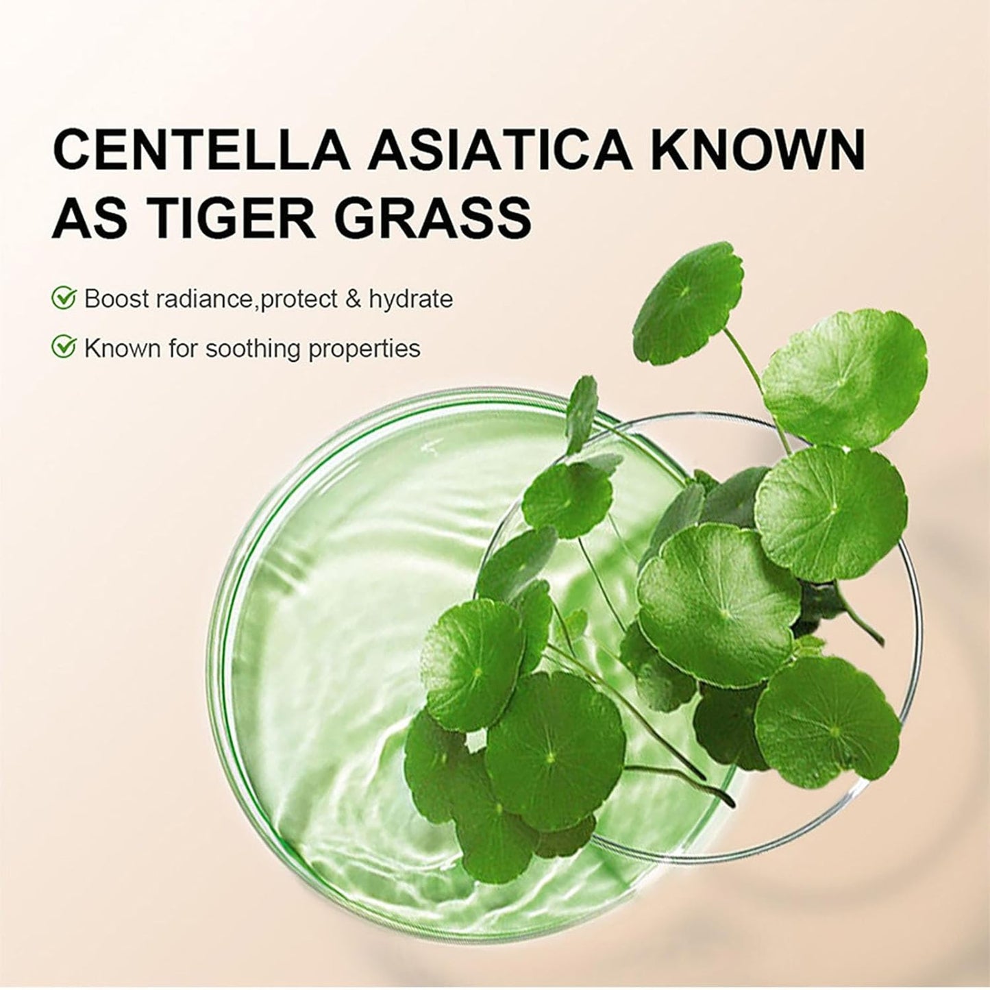 Hydrating CC Cream with SPF 25 – Full Coverage Foundation & Primer with Centella Asiatica